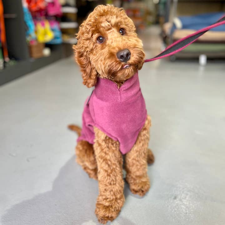 Doghouse - Wholesale Pet Sweater - Dog - Medium Breed Dog Fleece Jumper
