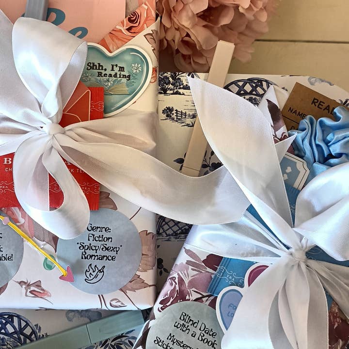 The Enchanted Envelope & Bookmobile - Wholesale Book - Adult - Blind Date with a Book ~ BRAND NEW books