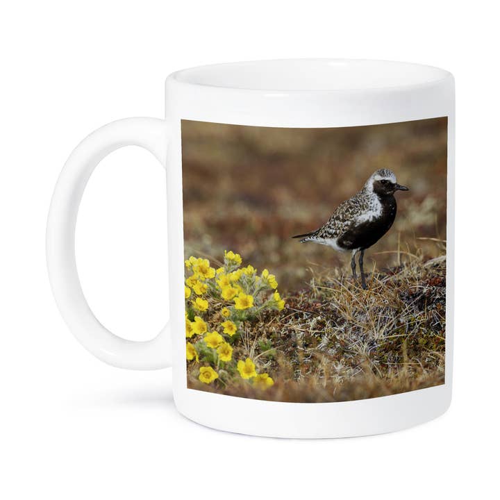 3dRose - Wholesale Coffee Mug - 3dRose, Black-bellied plover, Arctic tundra nesting habitat, Mug8