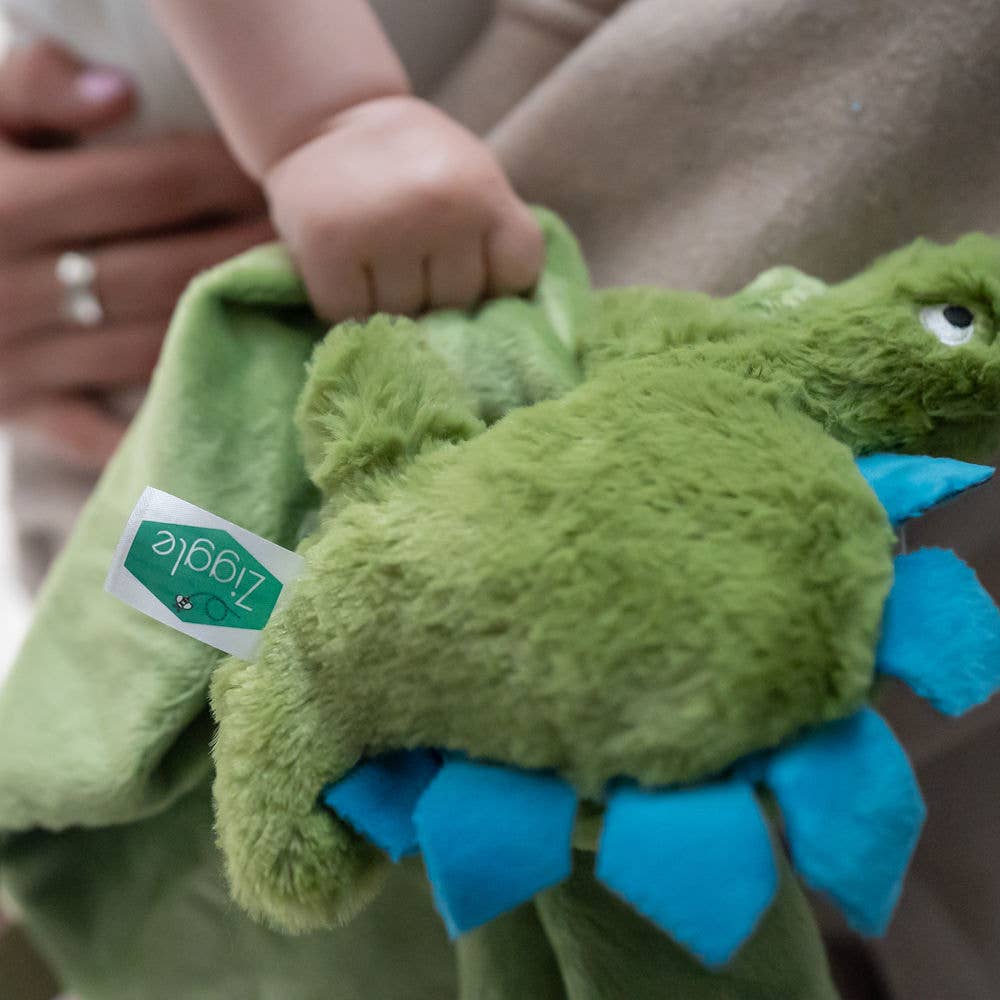 Ziggle Baby - Vente Couverture douillette – bébé - Plaid comforter en peluche Dinosaure6