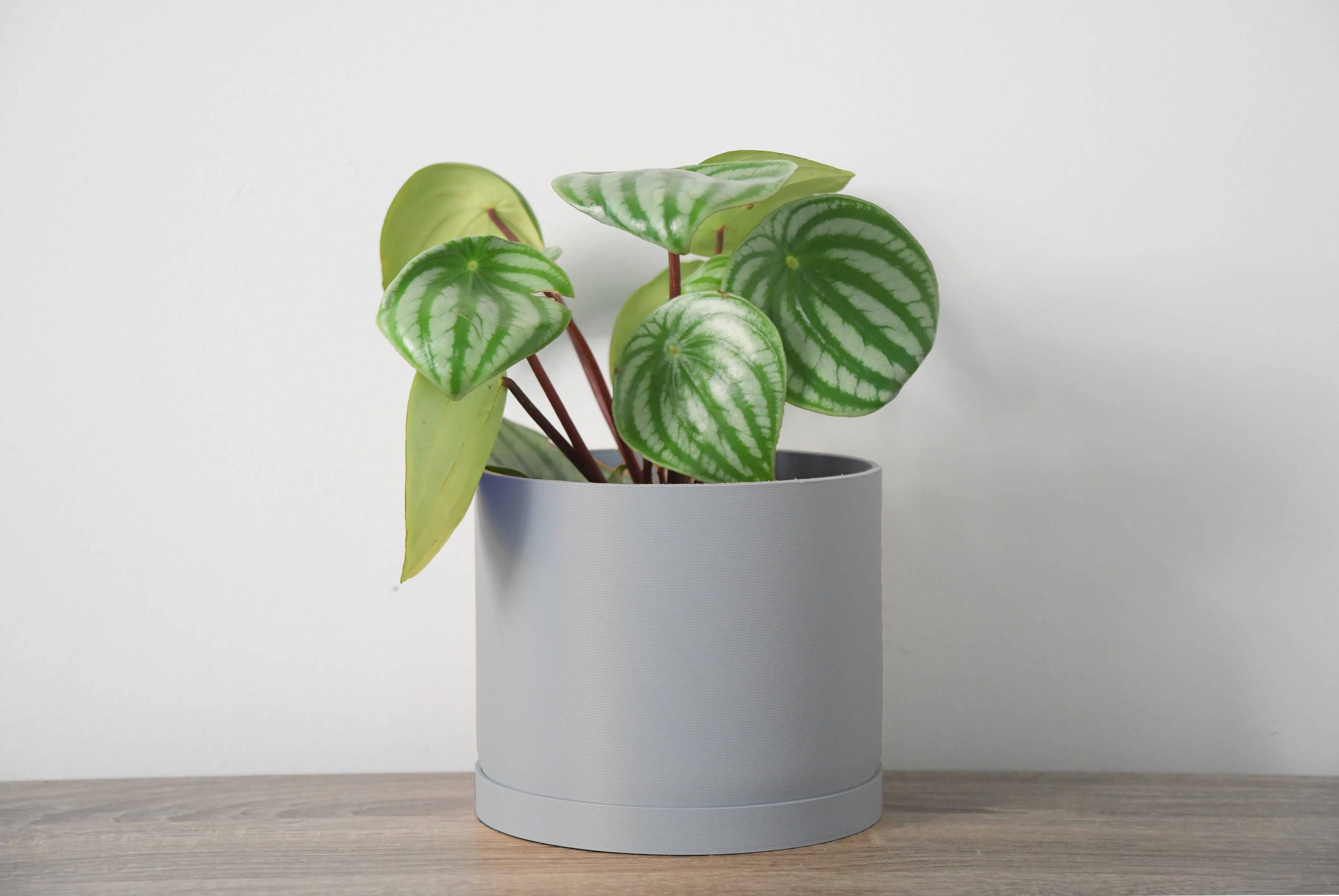 Miss Planty Pants - Wholesale Plant Pot - The Simple Planter in Steel Gray2