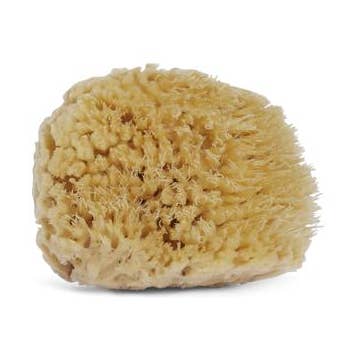 Wool Sea Sponge for wholesale by Blue Monarch
