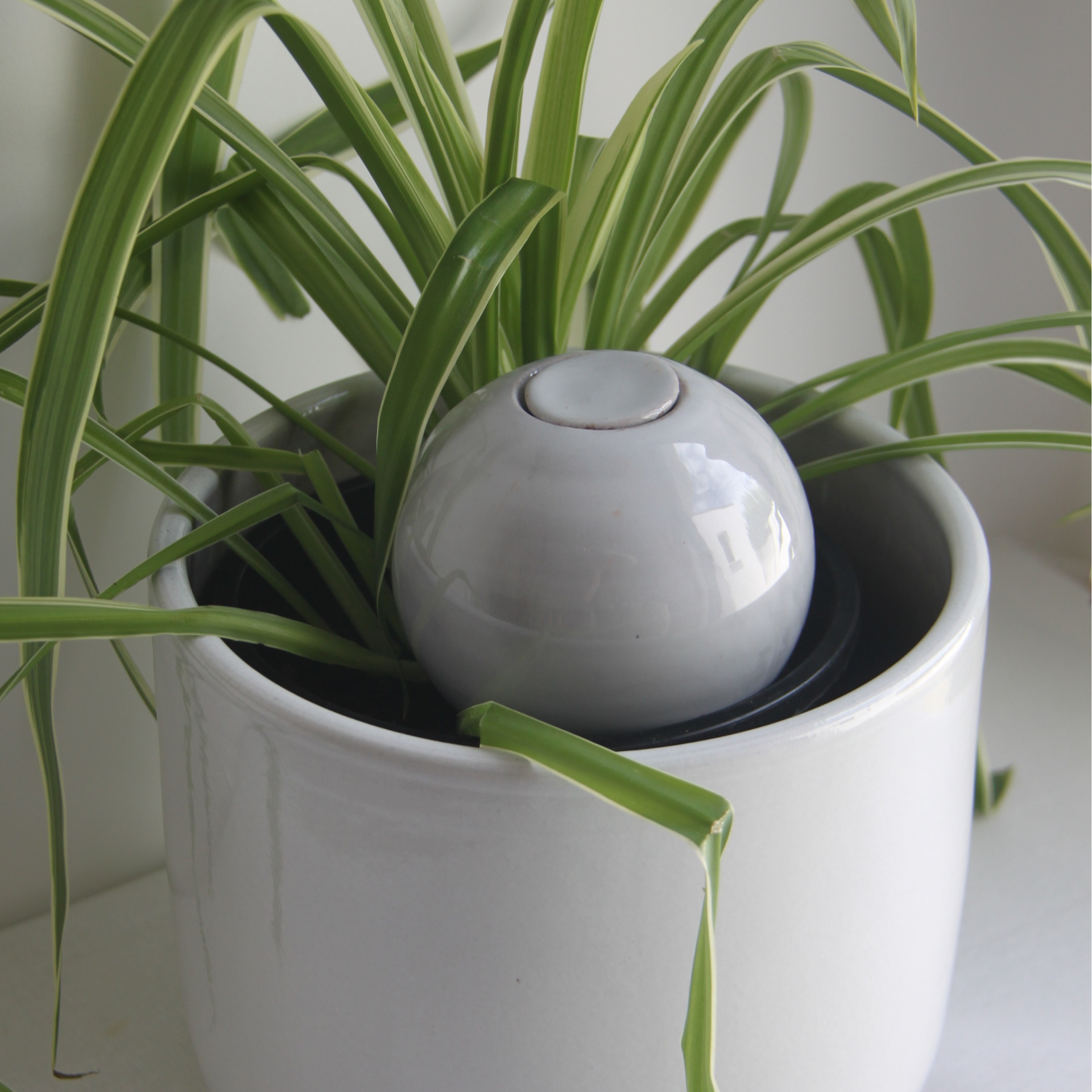 Poterie lutton - Wholesale Watering can - Marble Planter Bowls6