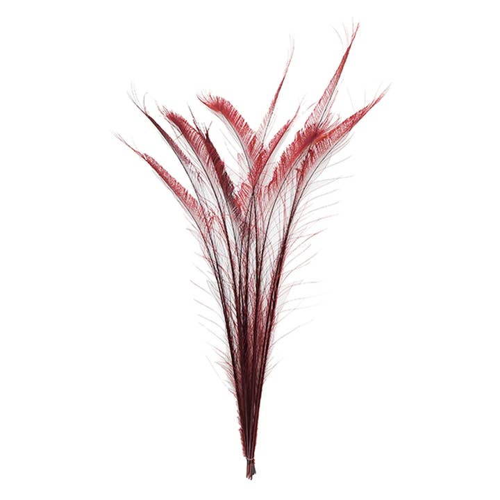 Peacock Swords Bleached/Dyed - Burgundy for wholesale by Zucker Feather Products