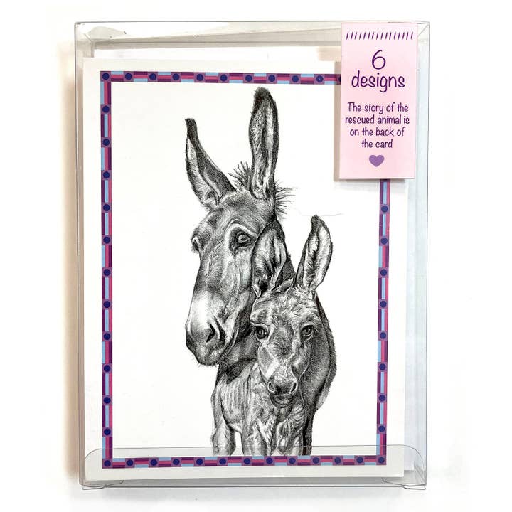 Woollybear Travels - Venta al por mayor Conjunto de papelería y tarjetas - Tarjetas con forma de burro, paquete de 61