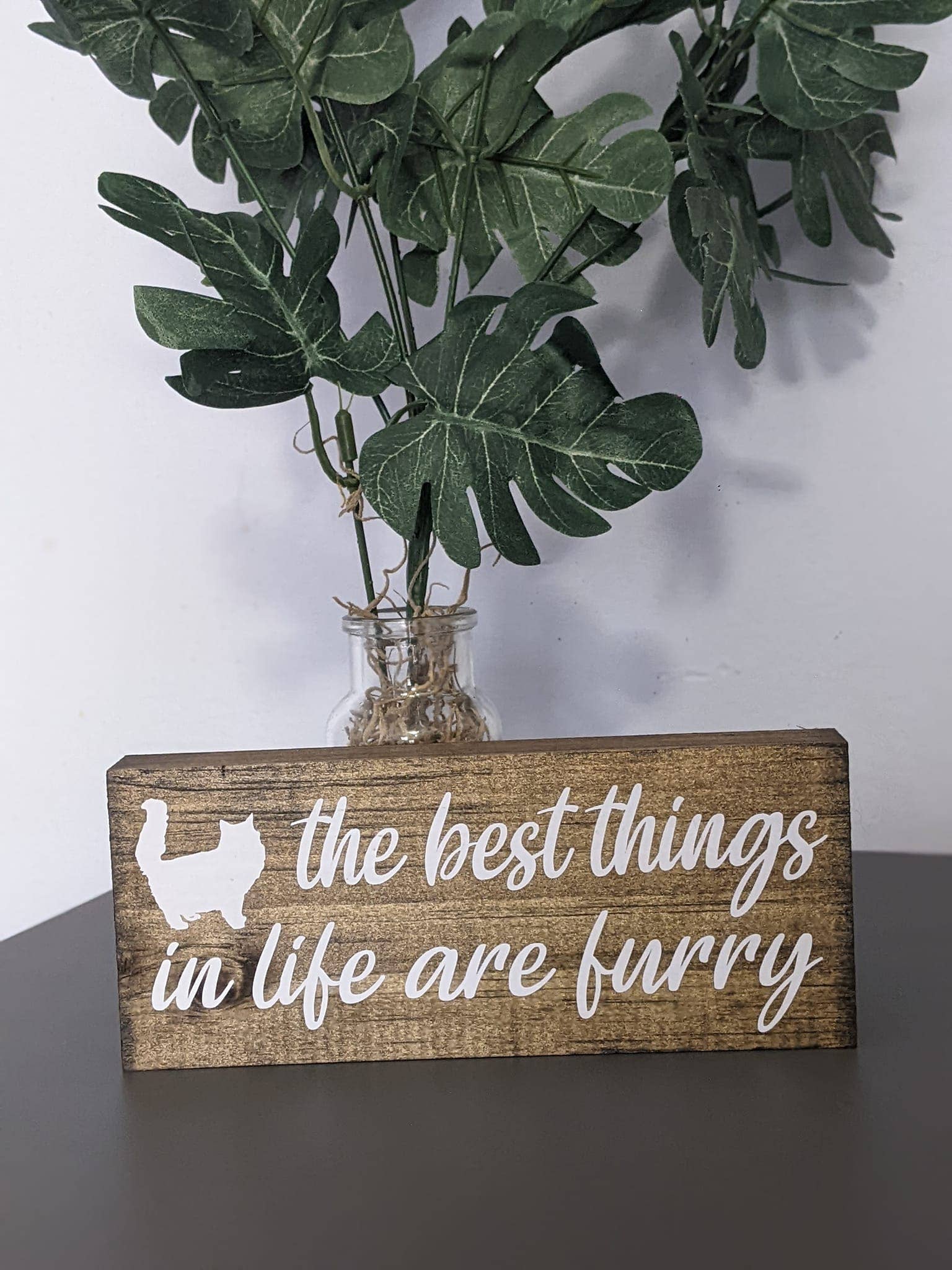 Made By Scratch Crafts – Sinal por atacado – Conjunto de Placas Decorativas de Gato – Conjunto Misto de 8 Placas de Madeira2