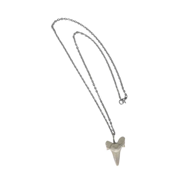 Pendentif Dent de Requin en Fil Enroulé sur Chaîne en Acier Inoxydable pour la vente par Maka Imports