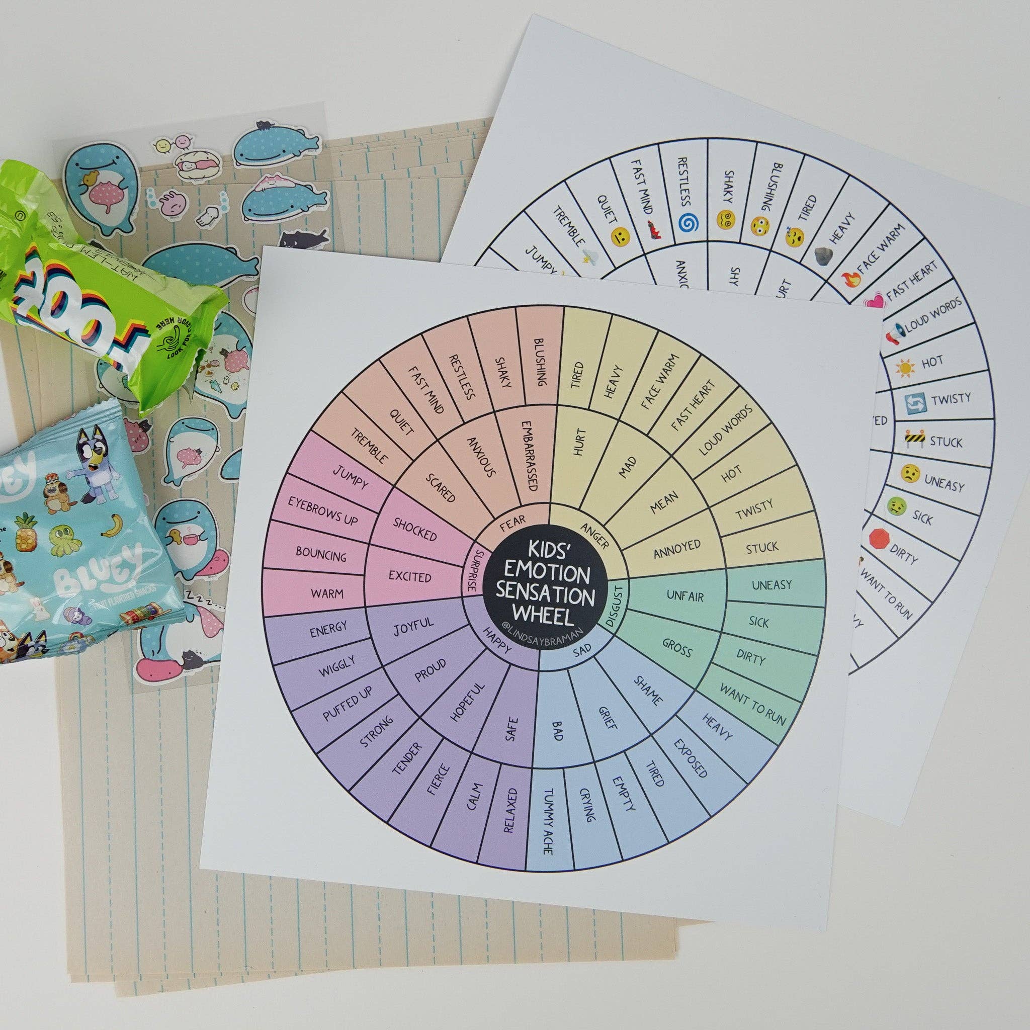 Lindsay Braman Studios - Wholesale Fidget Toy - Kids - Two-Sided Fidget-Proof Kids' Emotion Sensation Wheel | Extra Durable and Waterproof4