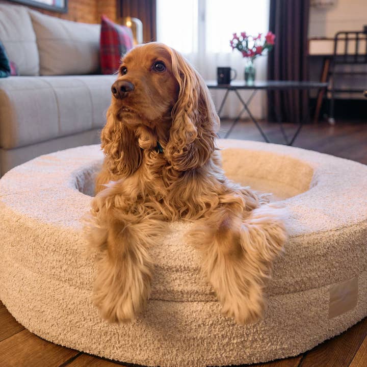 Dukier - Wholesale Pet Bed - Dog - DUKIER DOG BED5