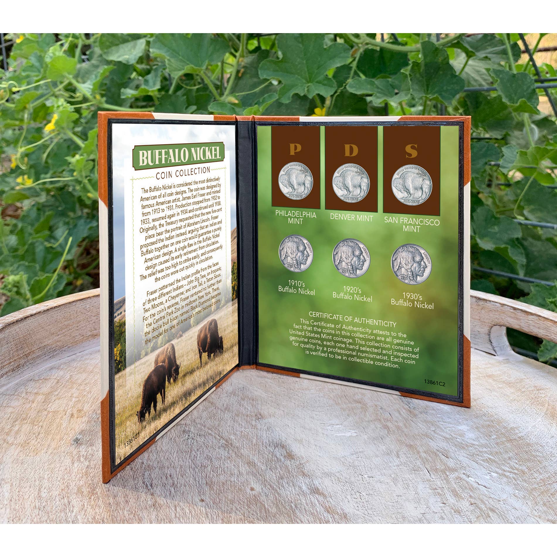 American Coin Treasures - Wholesale Keepsake Coin/Token - Buffalo Nickel Coin Set Genuine US Five Cent Coins3