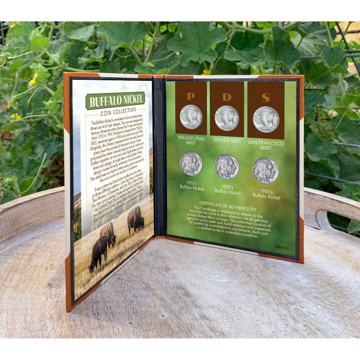 American Coin Treasures - Wholesale Keepsake Coin/Token - Buffalo Nickel Coin Set Genuine US Five Cent Coins3