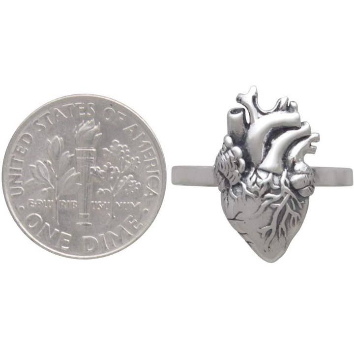 Nina Designs - Wholesale Cocktail/Statement Ring - Sterling Silver or Bronze Anatomical Heart Ring