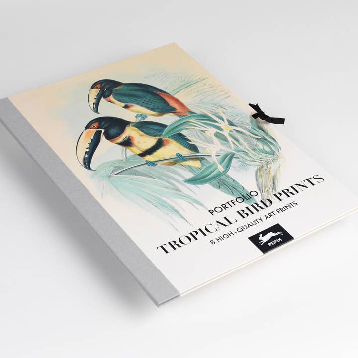 Tropical Birds Art Portfolio - 8 museum-quality art prints for wholesale by Pepin Press