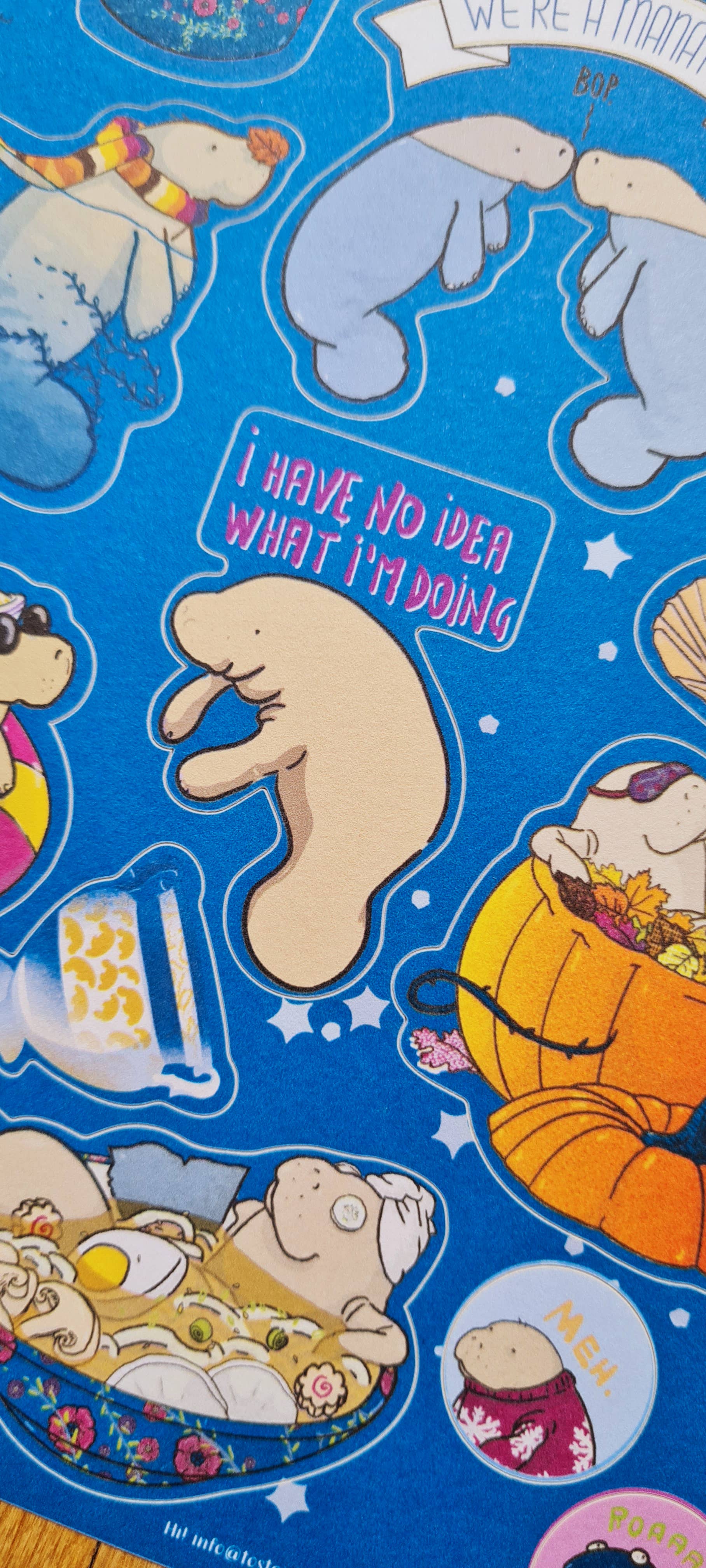 Tostoini - Wholesale Sticker - Manatee Sticker Set A5 sheet 100% cotton1