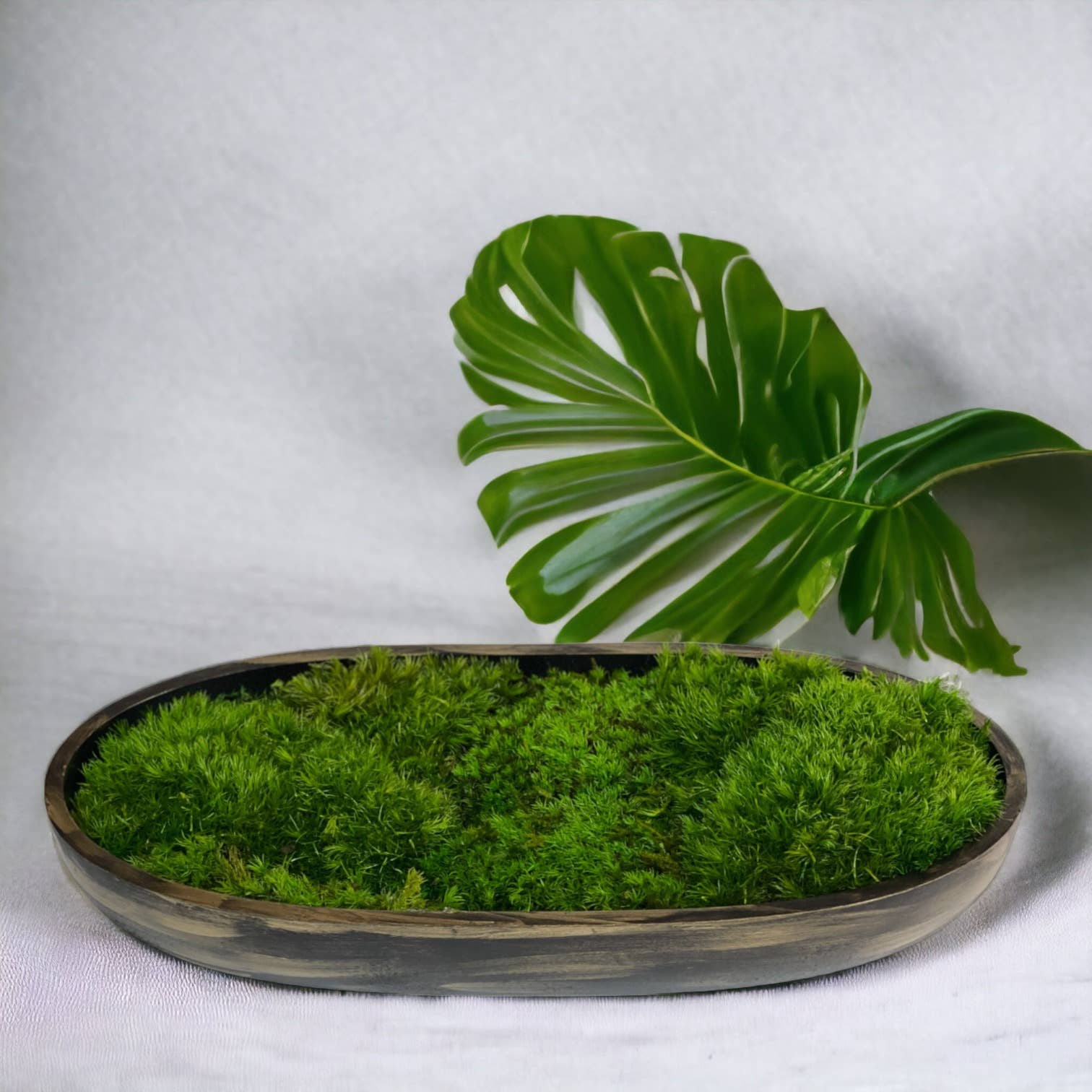 Planters Made in the USA - Wholesale Decorative Tabletop Object - Moss Table Centerpiece Decor Preserved Plant, Forever Green36