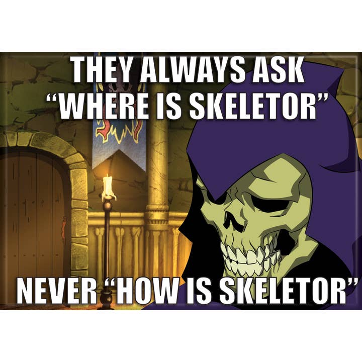 Masters of the Universe Never "How Is Skeletor Magnet for wholesale by Ata-Boy