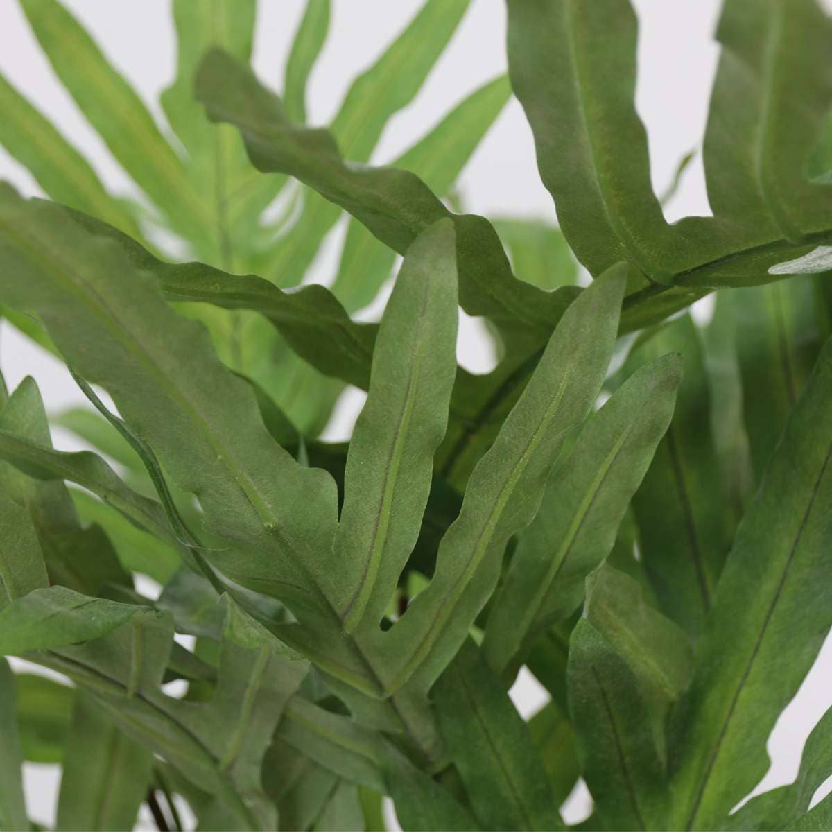 Oasis of Life - Vendita all'ingrosso Piante artificiali - Felce artificiale – 80 cm di altezza – Pianta artificiale premium – Felce realistica in blu-verde – Senza manutenzione e durevole – Per soggiorno, ufficio e decorazione moderna.6