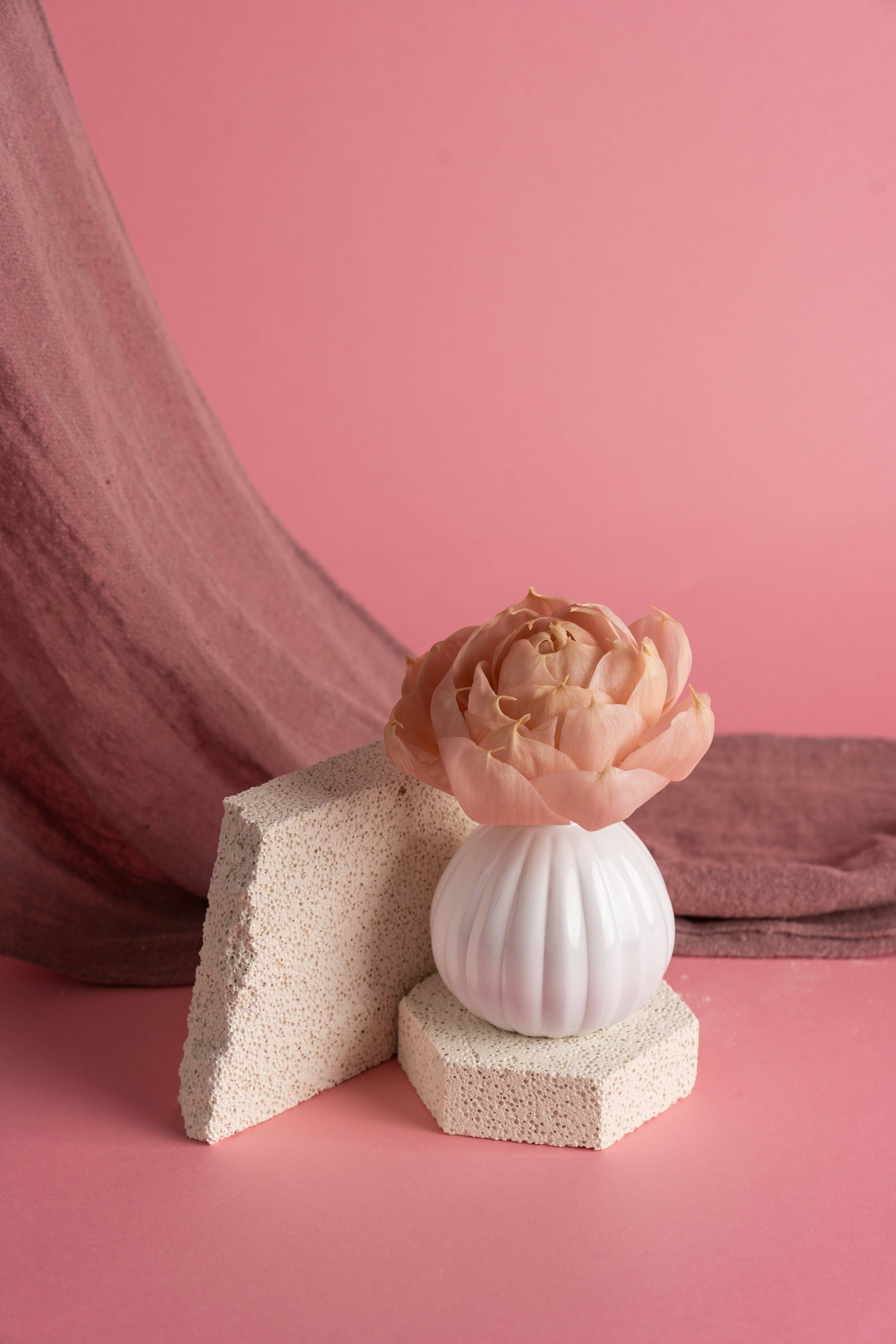 Bridgewater Candle Company - Wholesale Reed Diffuser - Sweet Grace Flower Diffuser6