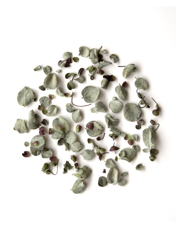 rhoeco - fine organic goods - Vente Thés santé/détox - Tisanes monovariétales [Bio] en vrac12