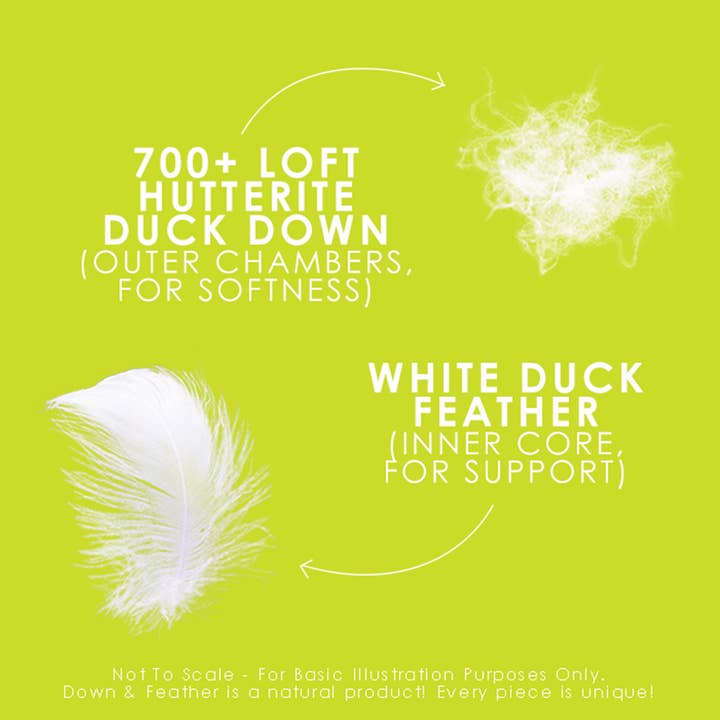 Canadian Down & Feather Company - Venta al por mayor Almohadas - Almohada perfecta para plumón hutterite canadiense3