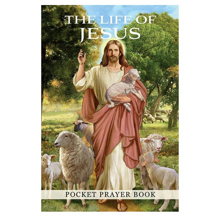 Life Of Jesus 12Pk for wholesale by Christian Brands Catholic