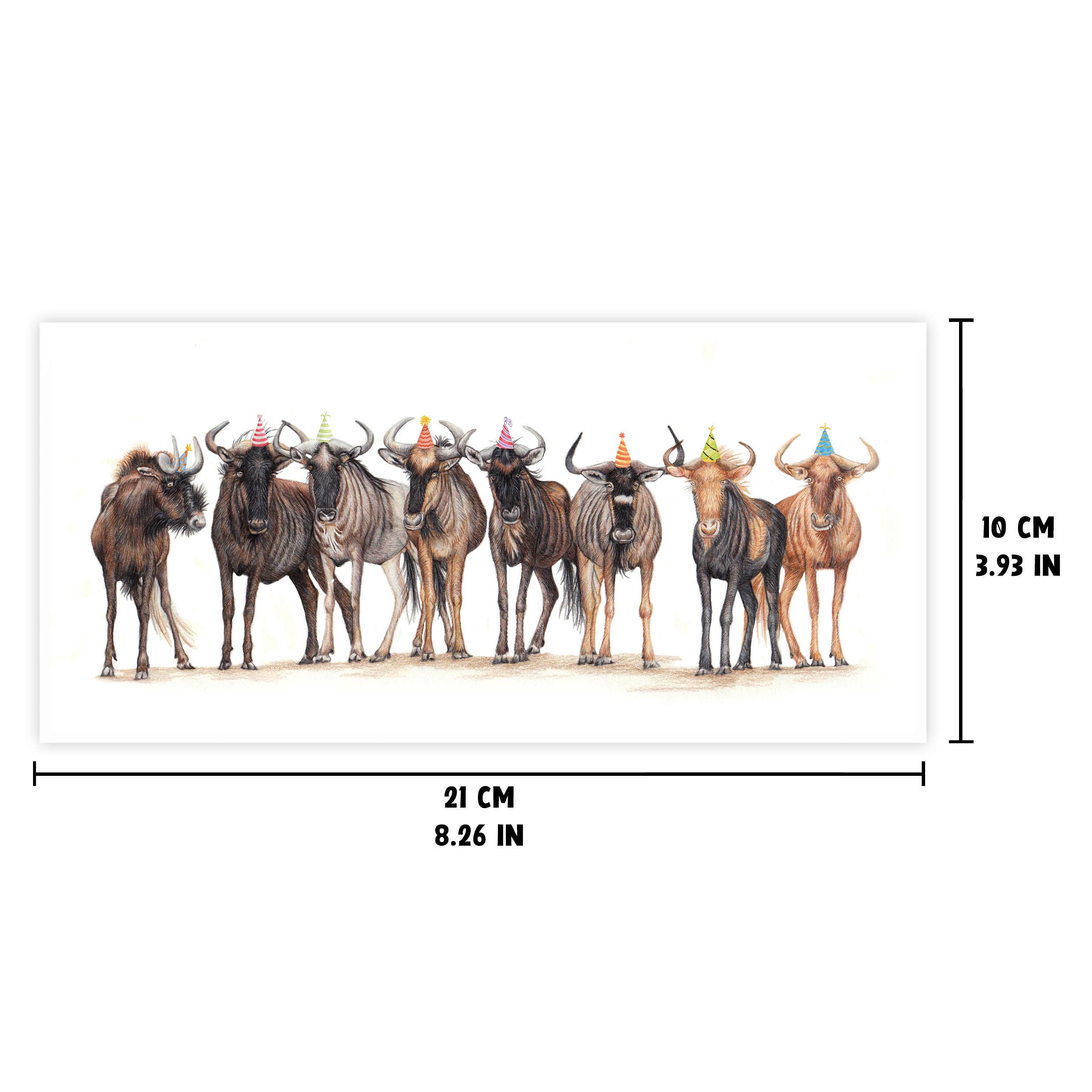 Beast of Paradise - Wholesale Birthday Card - Wildebeest Greeting Card, Animal Birthday Card, Gnu Cards2