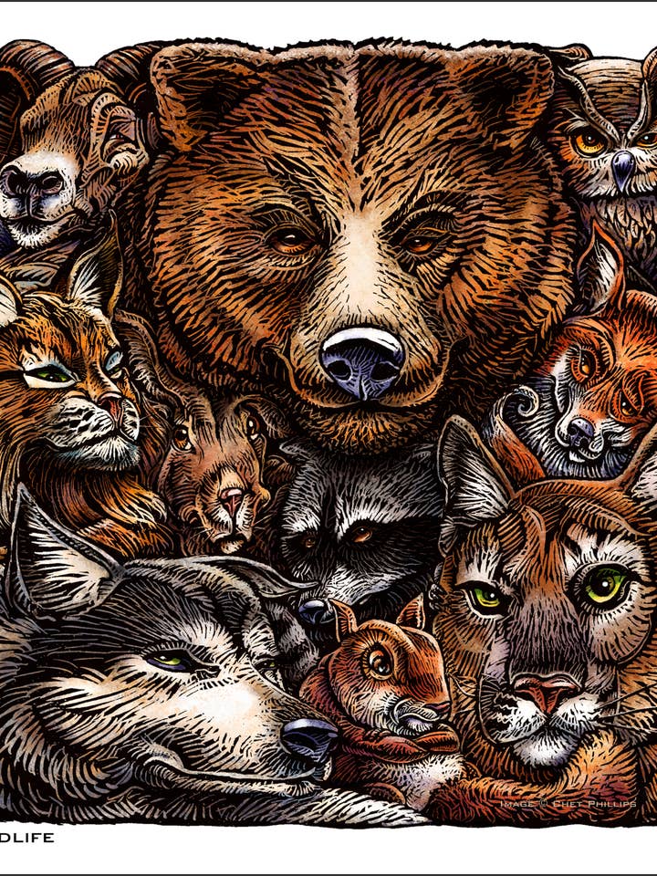 Wild Life 8 x 8" print for wholesale by ChetArt