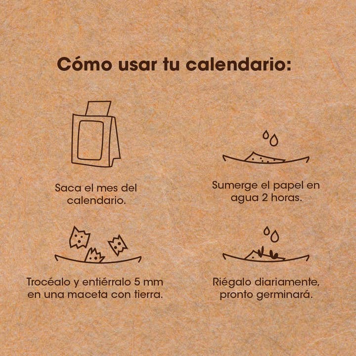 Resetea - Wholesale Calendar - Plantable Calendar