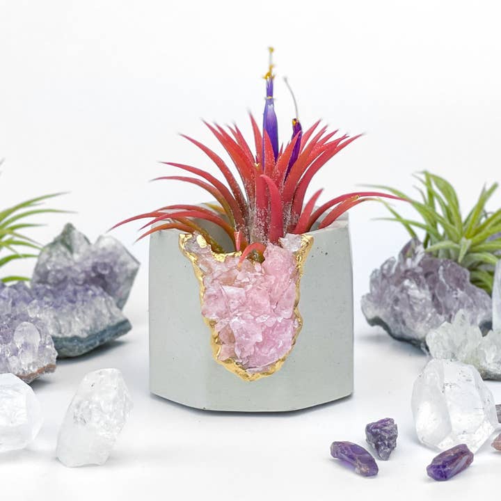 Planters Made in the USA - Wholesale Plant Pot - Raw Rose Quartz Geode Planter, Crystal Planter Pot1