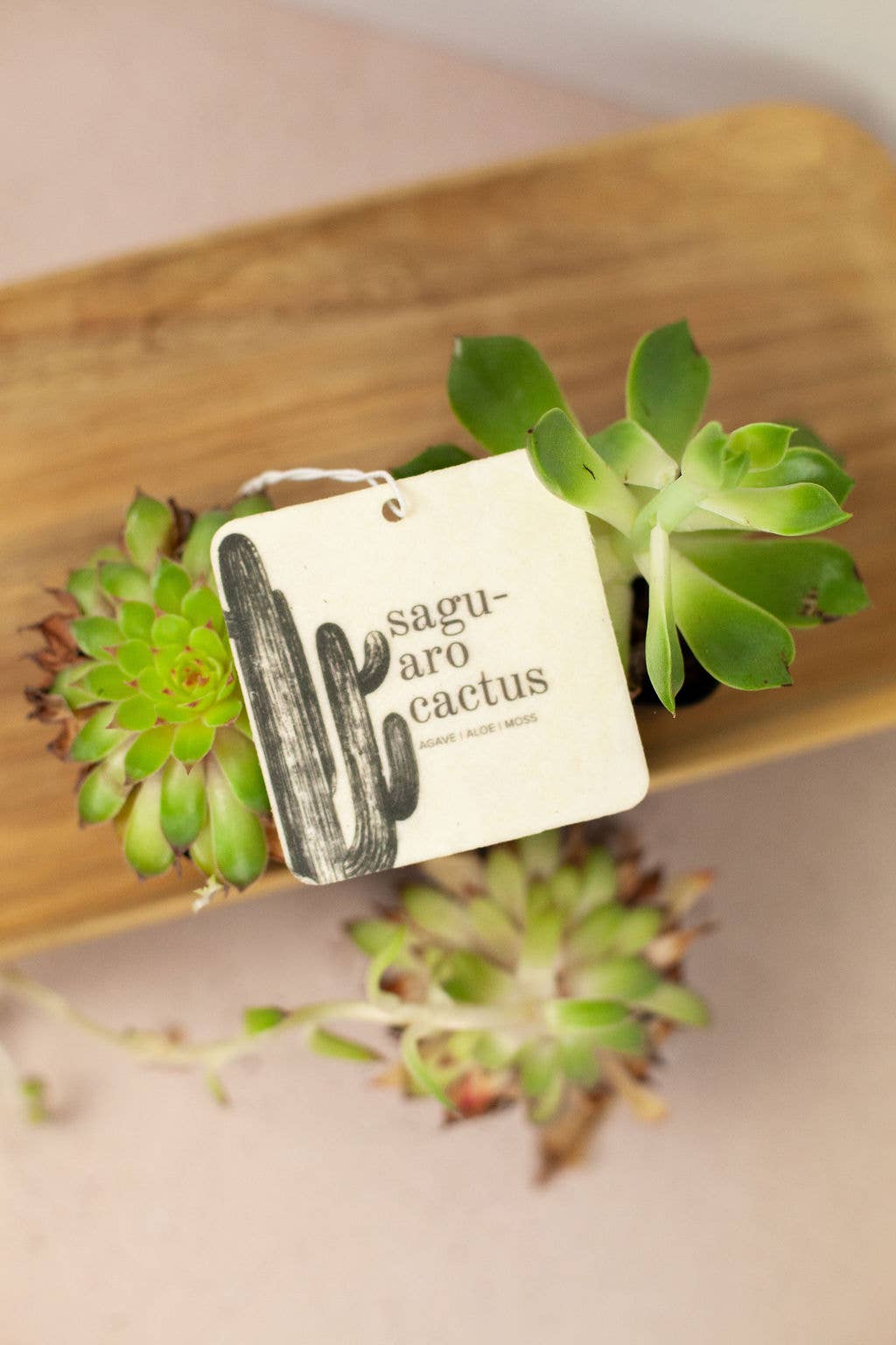 Broken Top Brands - Wholesale Car Freshener - Unisex - Saguaro Cactus Car Freshener2