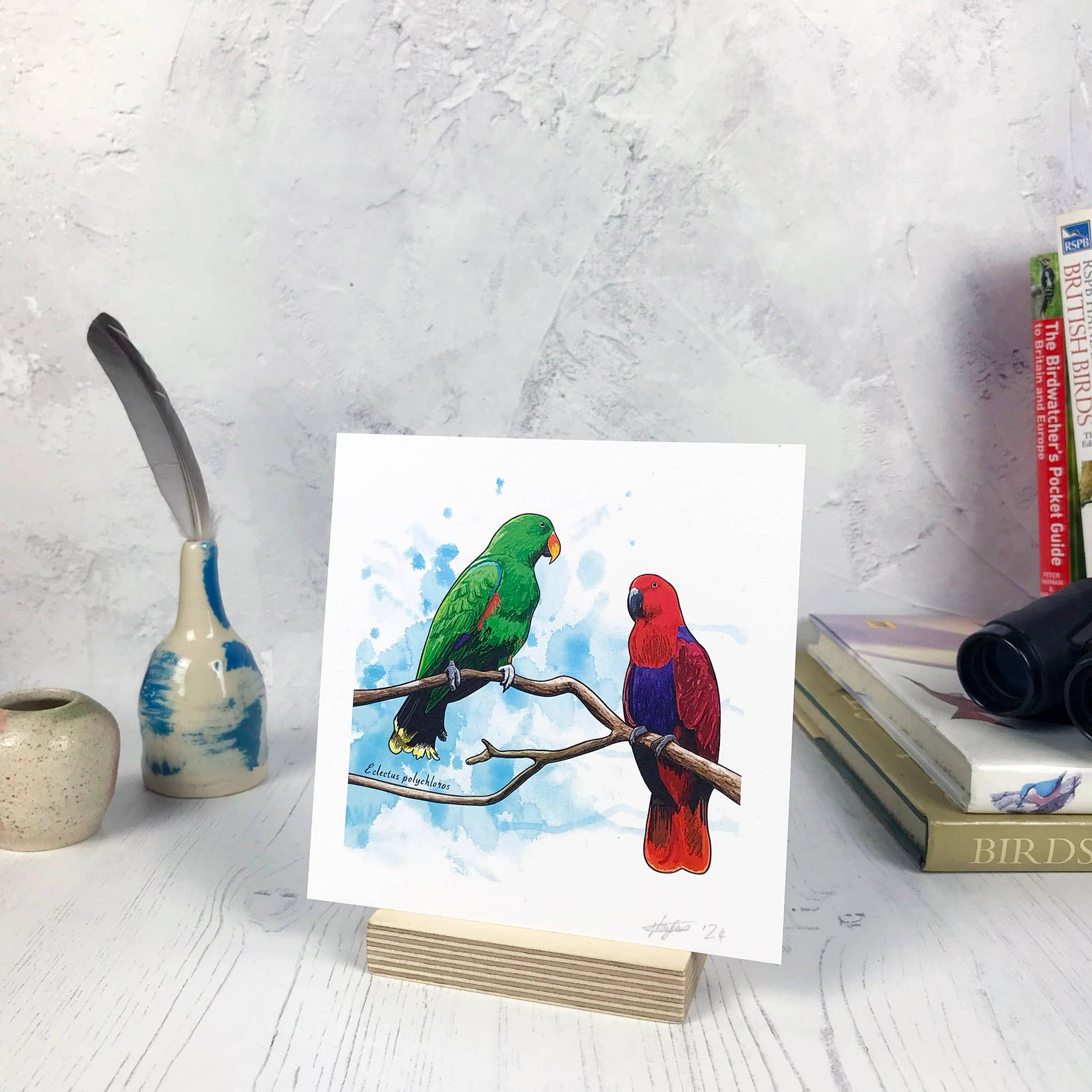Loadofolbobbins - Wholesale Art Print - Eclectus Parrot Bird Print0