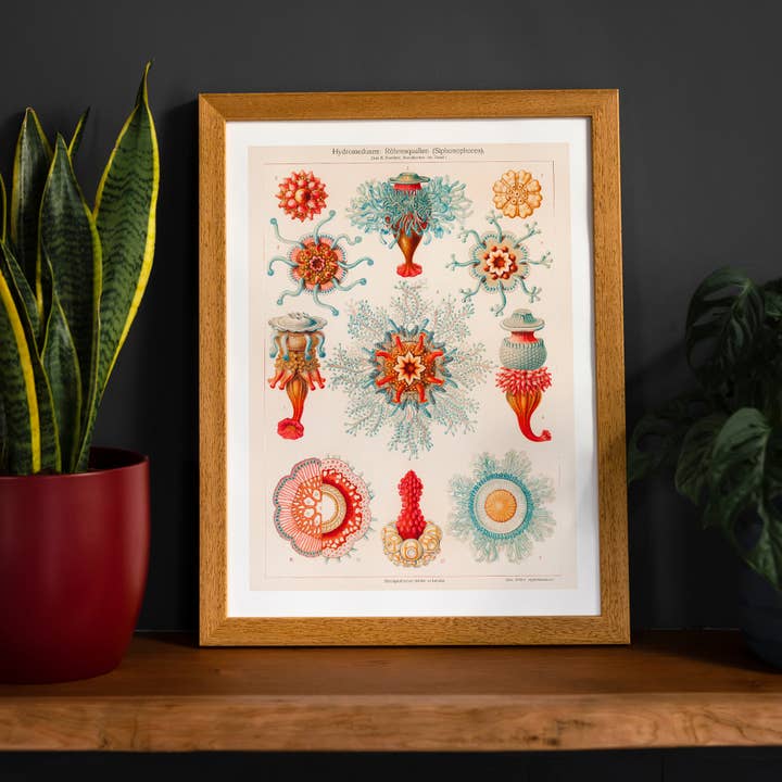 Vandmænd Vintage Antik Print for engroshandel hos Ink & Drop