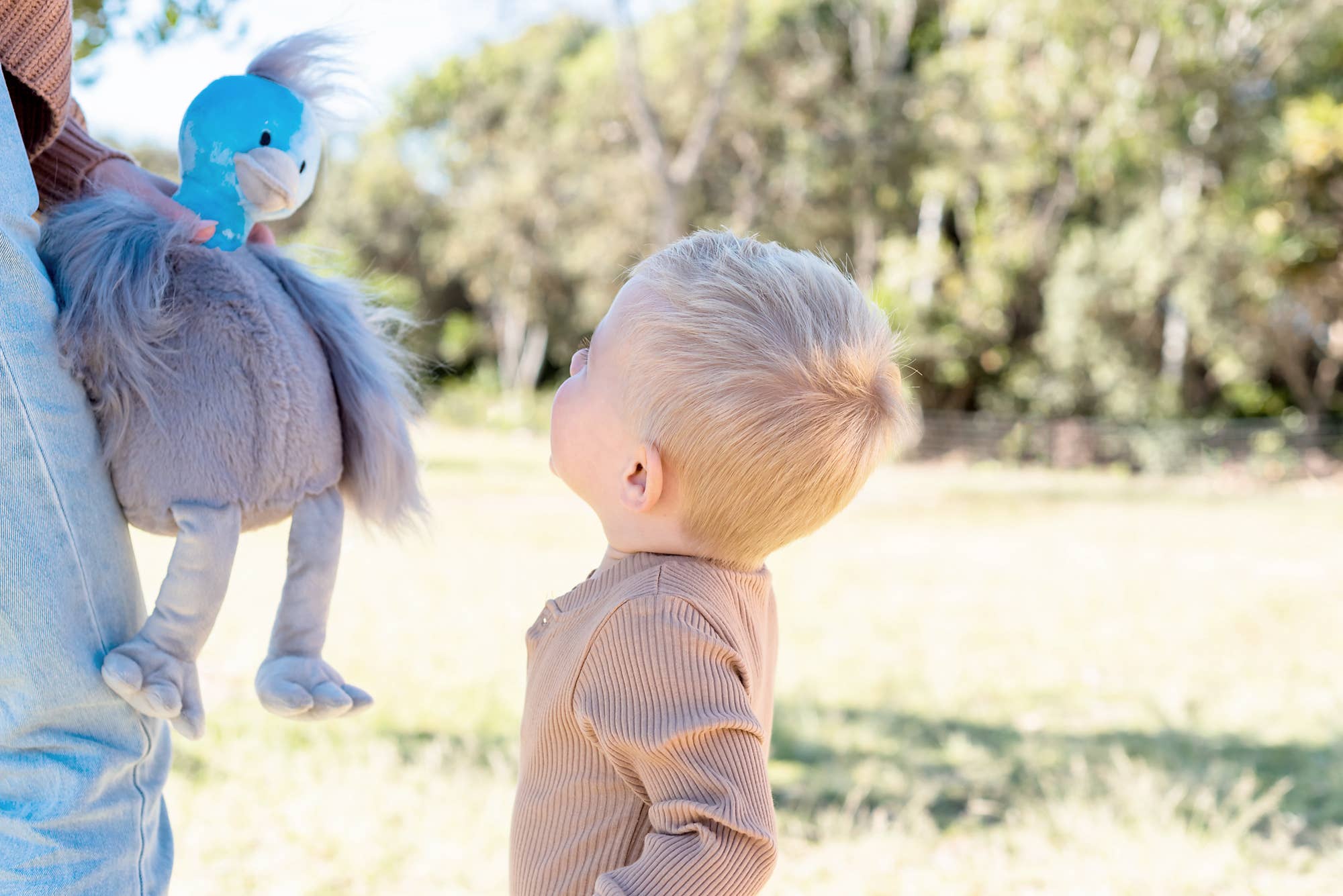 OB Designs Australia - Wholesale Stuffed/plush toy – Kids & baby - Emery Emu (Vegan Angora) Soft Toy 17"/43cm4