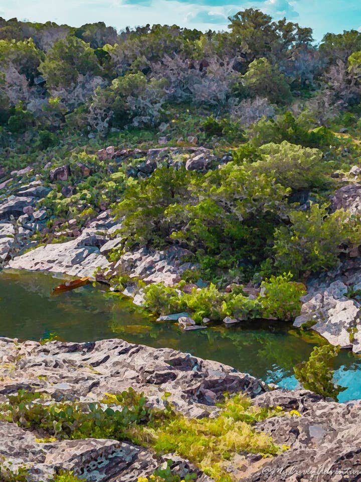 Watercolor Digital Prints - Lakeside Bluebonnets for wholesale by My Curly Adventures
