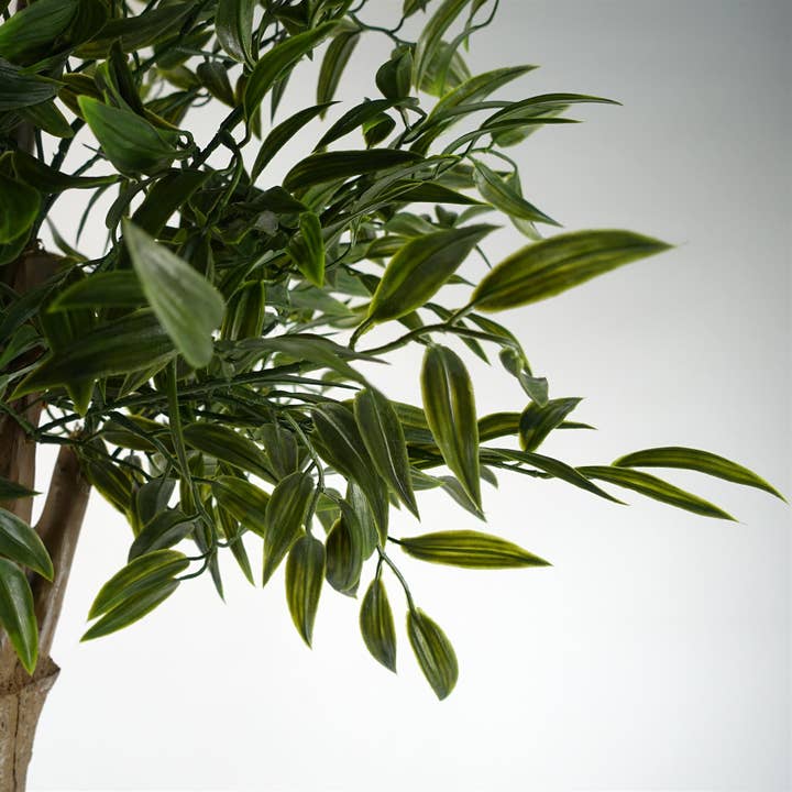 Leaf Design UK LTD – wholesale Artificial plant – UV Resistant Ruscus Tree- 2716 leaves2