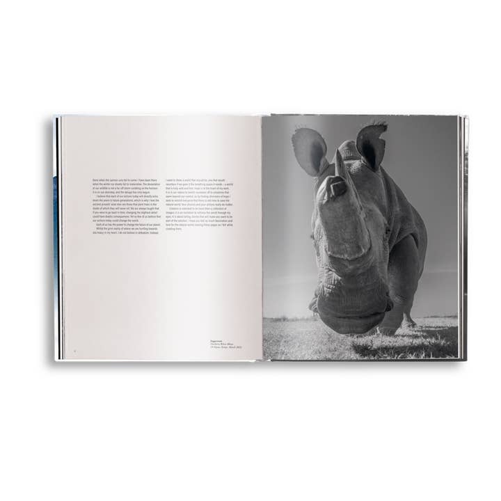 gestalten & teNeues - Vente Livre à exposer - Création4