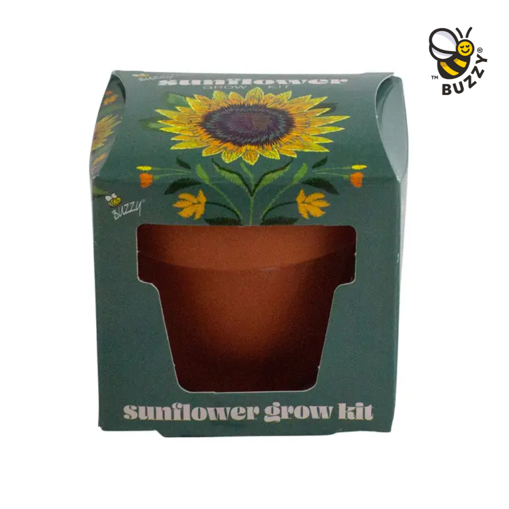 Buzzy Seeds Grow Gifts - Wholesale Plant Seeds - Mini Grow Pot Sunflower Kit – Indoor Garden Gift0