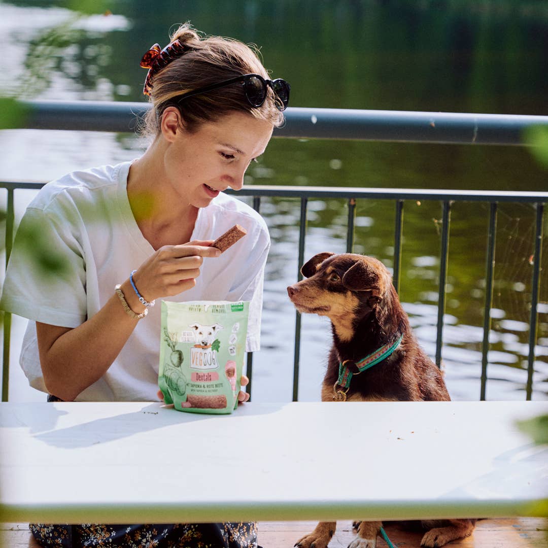 VEGDOG - Wholesale Pet Treats - Dog - DENTAL STICKS 120 g4