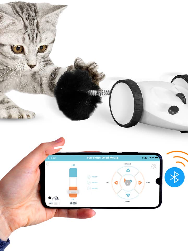 Acheter Smart Mouse (application activée) pour la vente par INSTACHEW