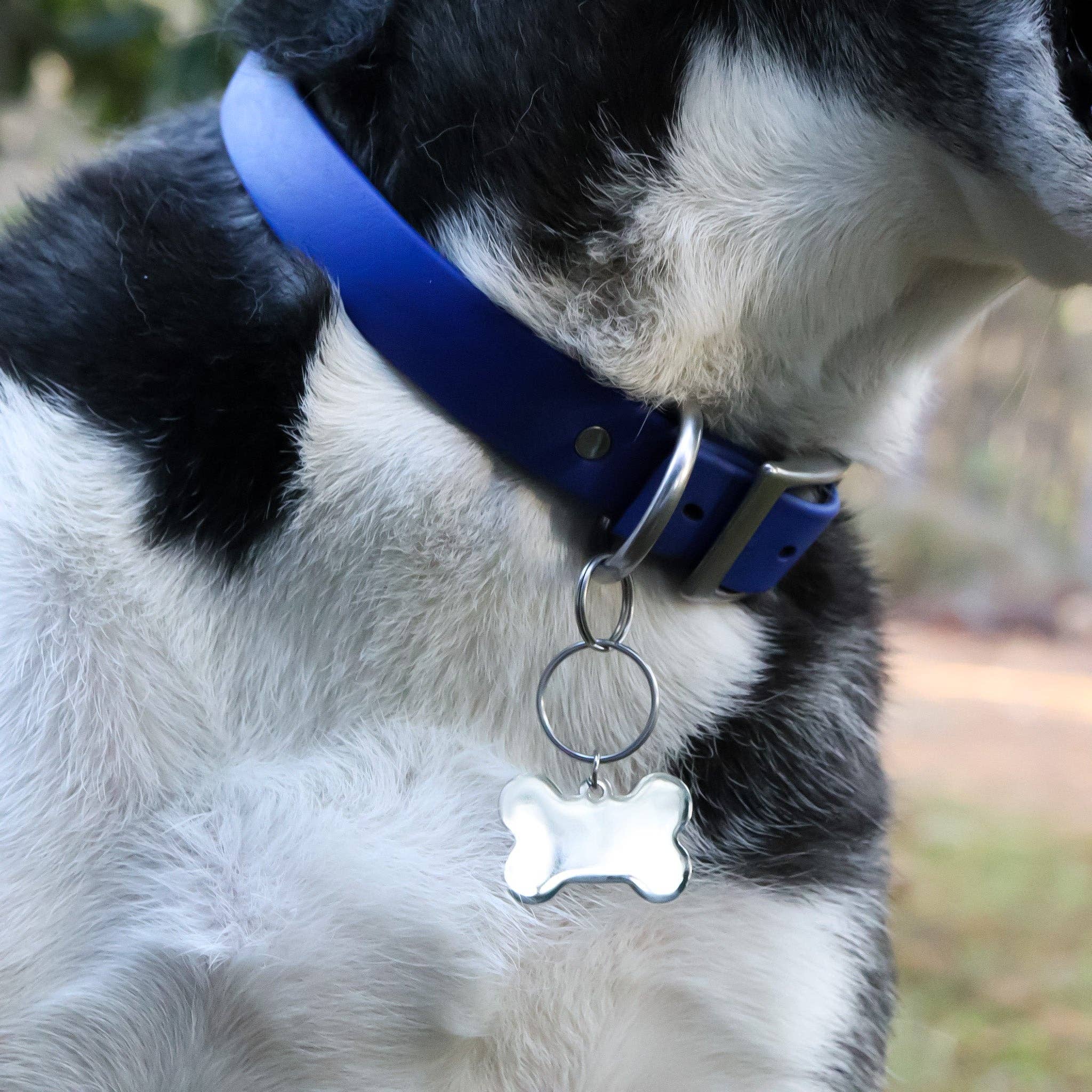 WJW - Wholesale Pet Identification Tag - Dog - 18K Gold PVD Large Blank Stainless Steel Dog Bone Tag1