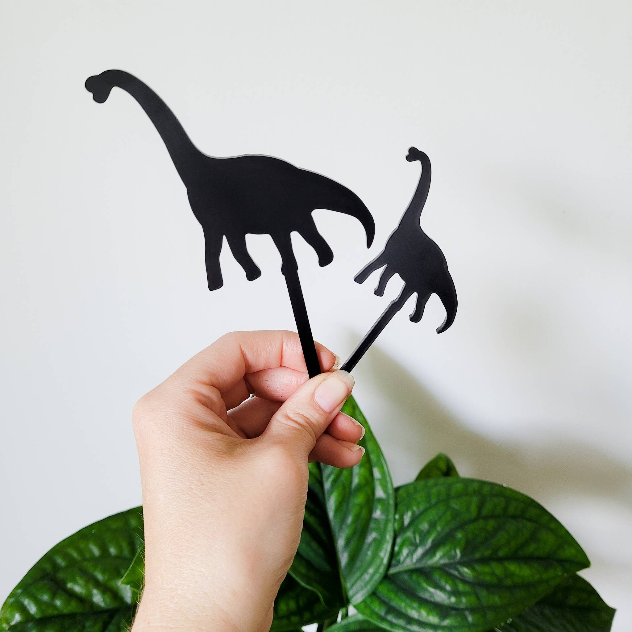 Leaf & Node - Wholesale Plant Pot - Dinosaur Indoor Plant Accessory Stake - Brachiosaurus2