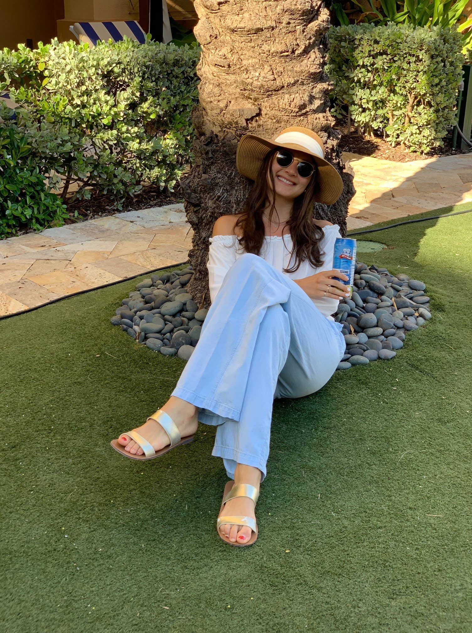 Amy & Brian - Wholesale Flavored/Infused Water (Non-Carbonated) - Amy & Brian Premium Coconut Water, Original -  17.5 Fl Oz10