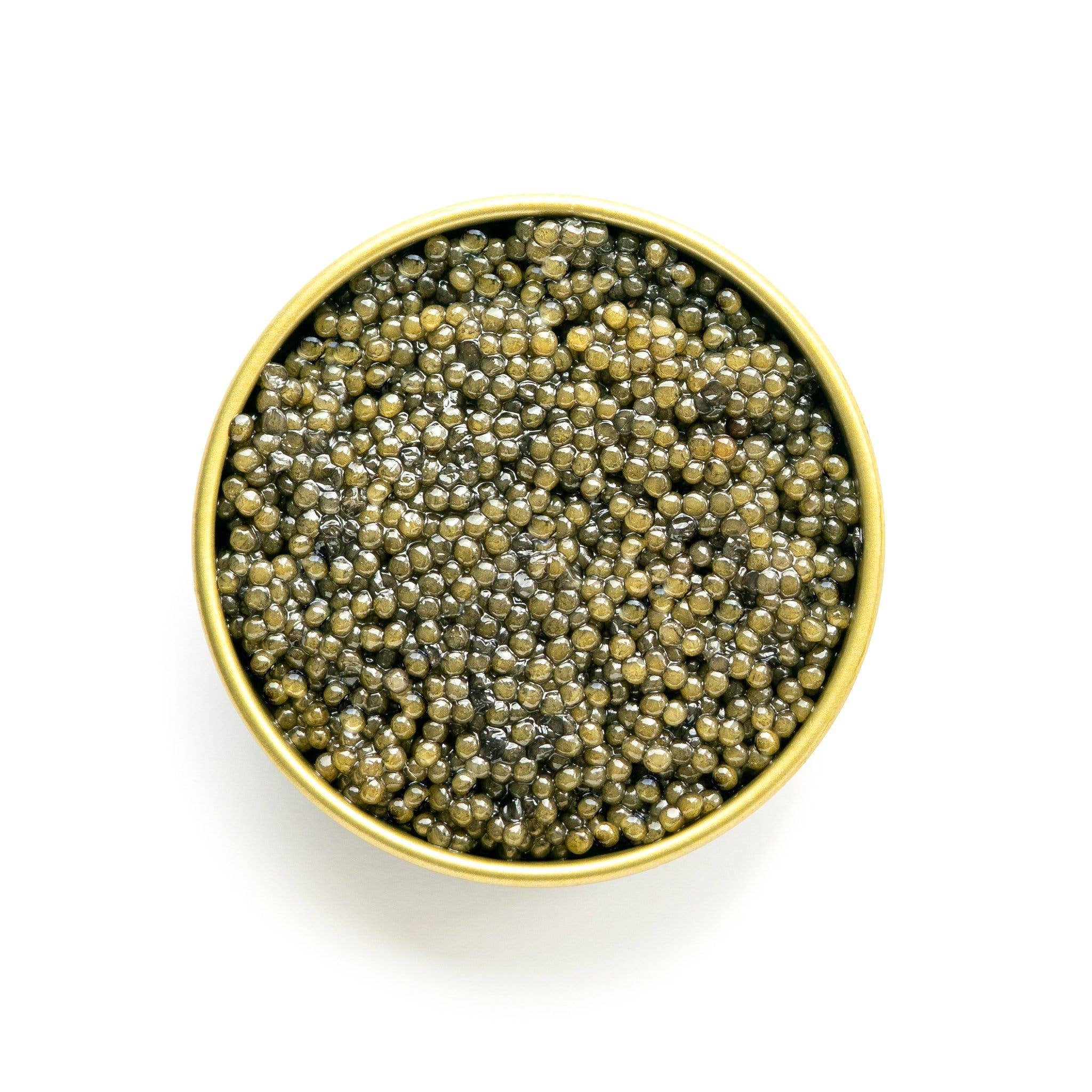 The Caviar Co. - Wholesale Fish/Seafood - Paddlefish Caviar1