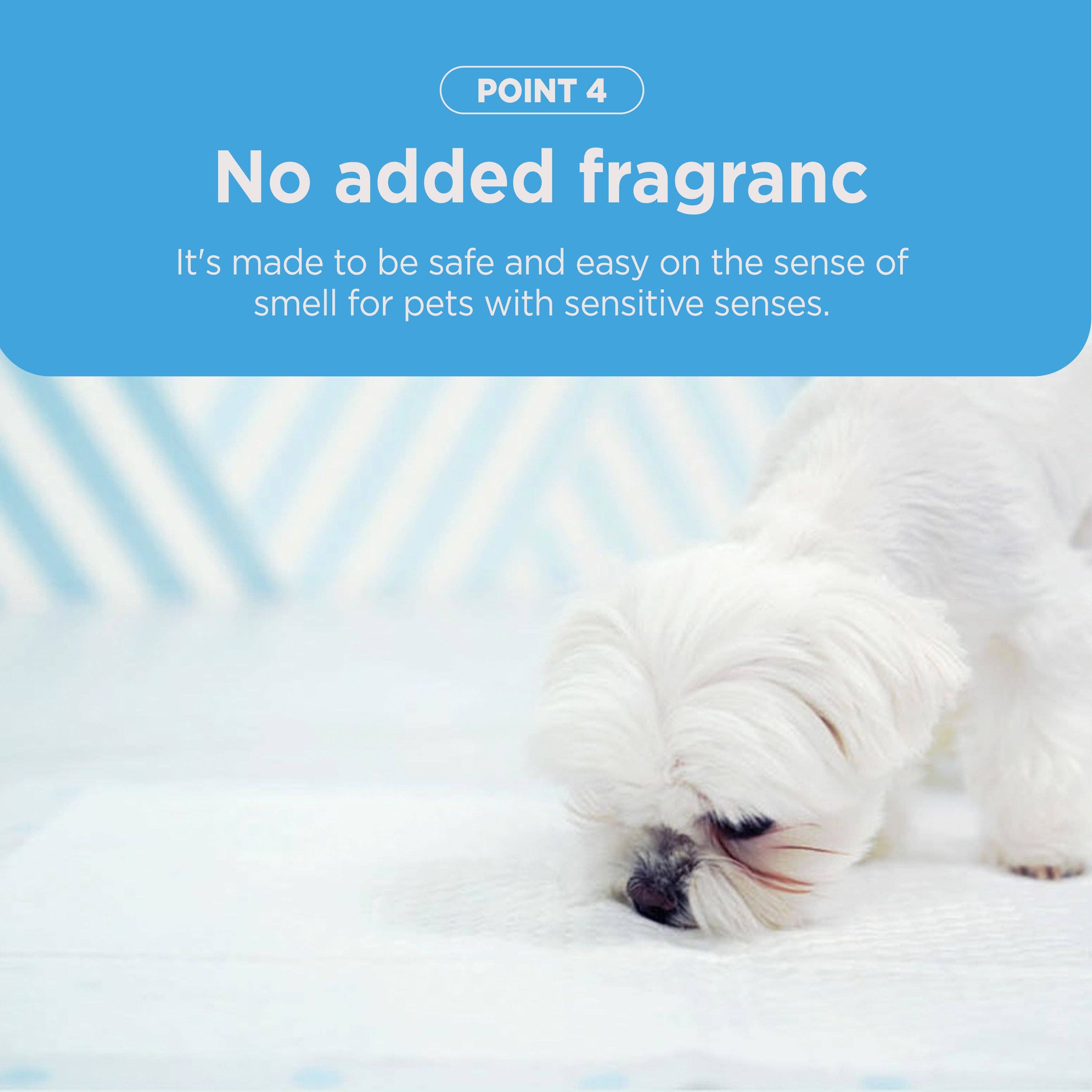 Kproduct4u - Vendita all'ingrosso Tappetino assorbente - Cani - Assorbenti per cani 'KOOKJE Mung Mung Pad' (4 tipi)8