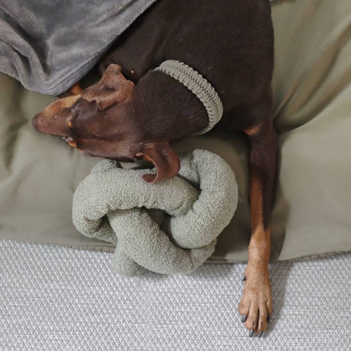 Lambwolf Collective - Wholesale Pet Plush Toy - Dog - O NOU | oversized//ENRICHMENT DOG TOY