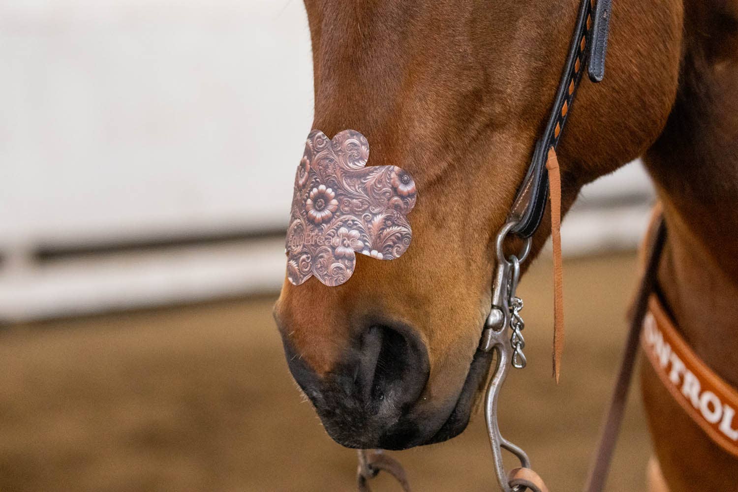 EquiBreathe™ - Vente Équipement d’équitation - EquiBreathe™ Patch Nasal Équin - Cuir Outilé5