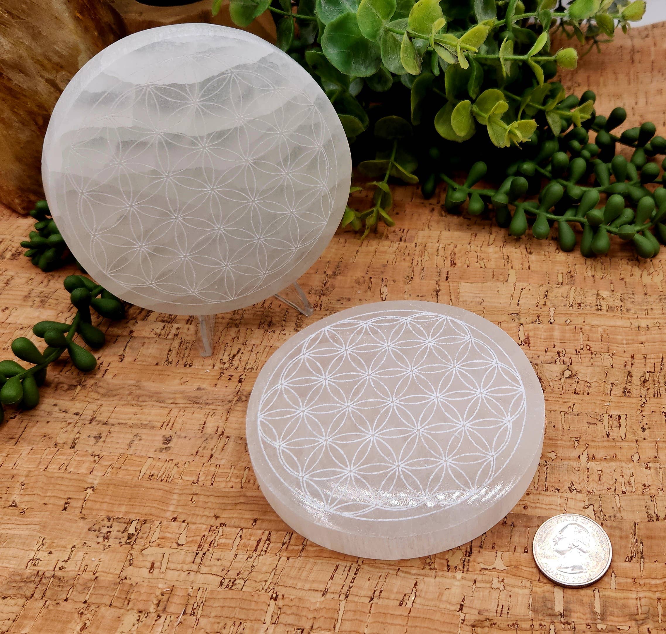 Meraki Gemstones - Wholesale Spirituele steen/kristal - Ronde opladingsplaat/onderzetter van seleniet - Gebeitst met Levensbloem, 8 cm3