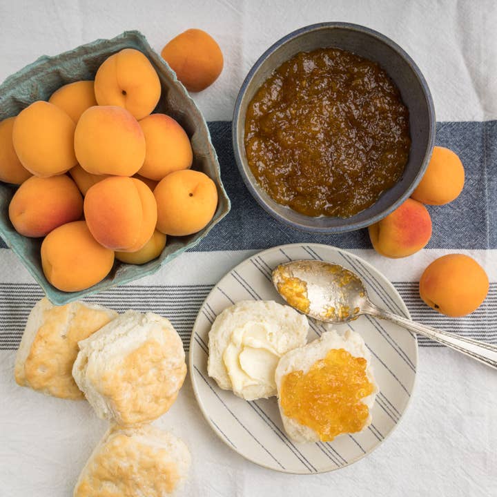 Bylers Relish House, LLC - Wholesale Jam/Jelly - Bylers Apricot Jam