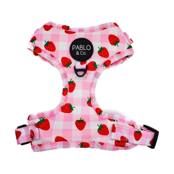Pablo & Co. Boutique - Wholesale Pet Harness - Dog - Strawberry Fields: ADJUSTABLE DOG HARNESS