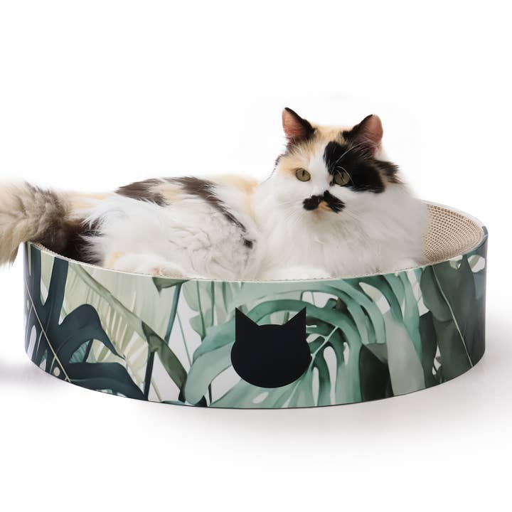 Cozy Cat Scratcher Bowl XL (Go Green) for wholesale by MOON-X USA, INC.